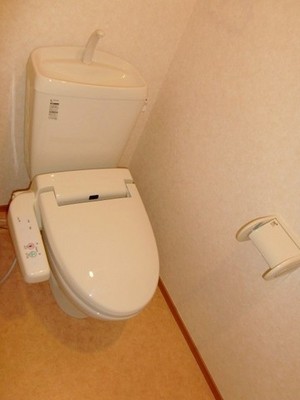 Toilet. Bidet