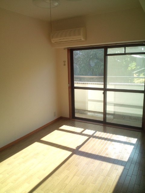 Living and room. We recommend sunny bright room.