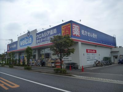 Dorakkusutoa. Uerushia Setagaya Chitosedai shop 686m until (drugstore)