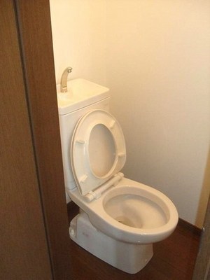 Living and room. Toilet