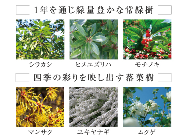 Features of the building.  [Selection around the trees rooted in Setagaya of climate] Tree to select people is, Planted in the center of the native species that is rooted in the land of Setagaya. Also, It makes you feel the color of the season, Interwoven the evergreen and deciduous, It was to create a moisture rich landscape. (An example of the photo is planting)