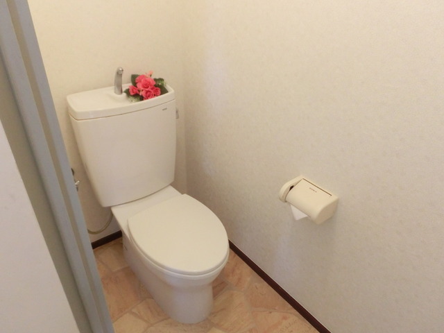 Toilet. Toilet space of spread