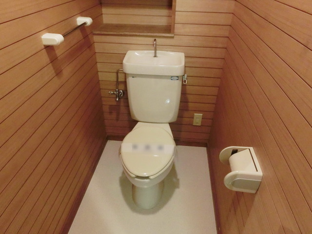 Toilet. It is a toilet with a clean