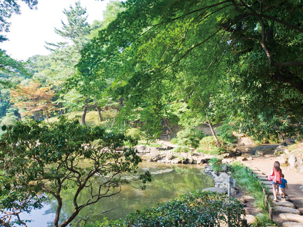 Surrounding environment. Miya Arisugawa Memorial Park (about 880m ・ 11-minute walk). Mountain stream or pond, Such as the hills, Azabudai areas of terrain and the Japanese garden that takes advantage of the natural. Plum and cherry blossoms, Including dogwood, Full glory is vegetation of four seasons.