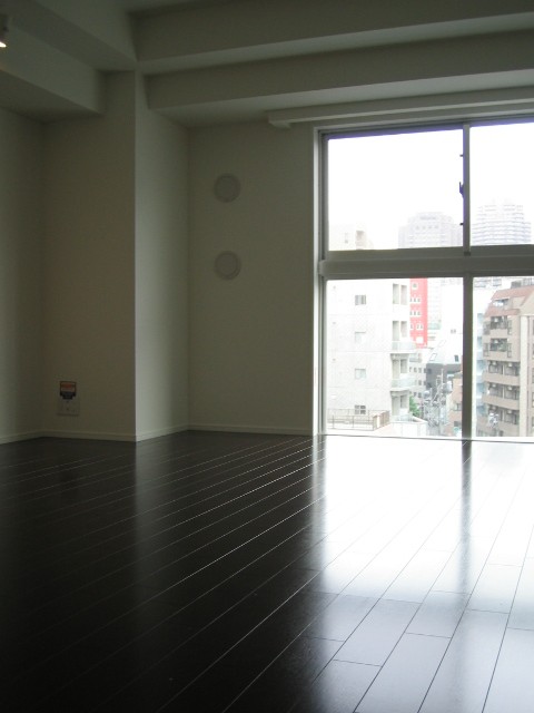 Living and room. Living