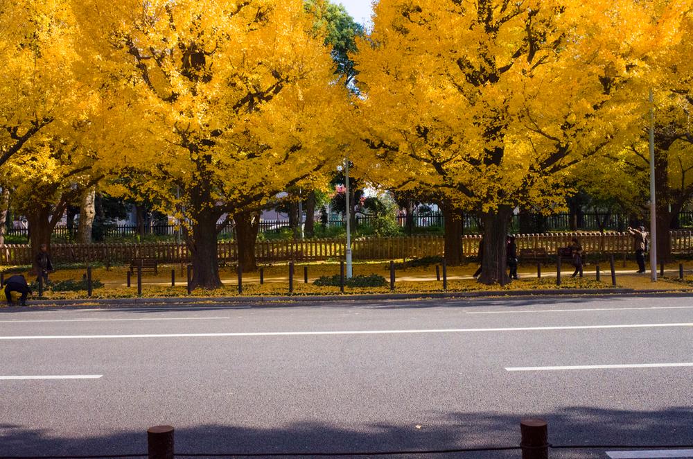Other. Until the Meiji Jingu Outer Gardens 200m (2 minutes)