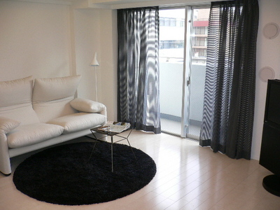Living and room. Reference photograph