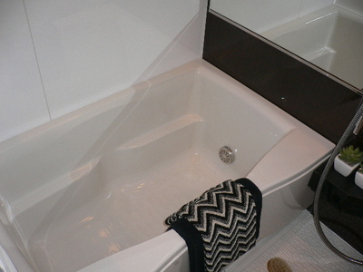 Bath. Reference photograph