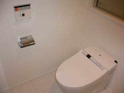 Toilet. Reference photograph