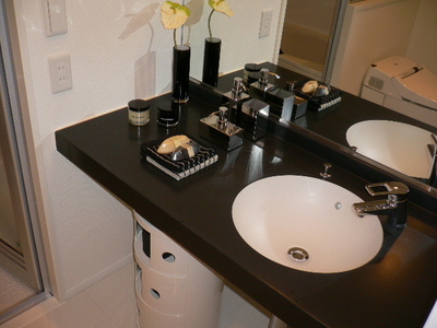 Washroom. Reference photograph