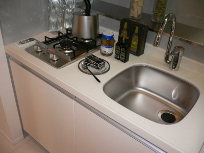 Kitchen. Reference photograph