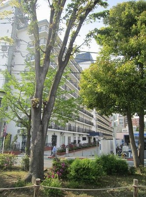Building appearance