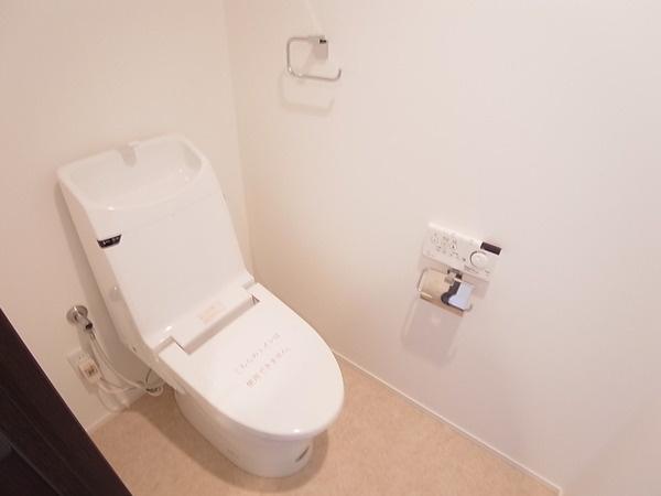 Toilet. High-function toilet.