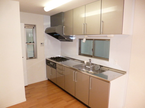 Kitchen. System kitchen (gas three-necked)