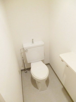 Toilet. Intimate toilet