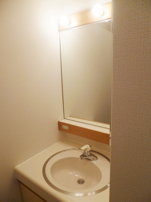 Washroom. Bathroom vanity