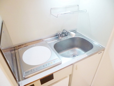 Kitchen. Convenient IH heater with a stove in the kitchen