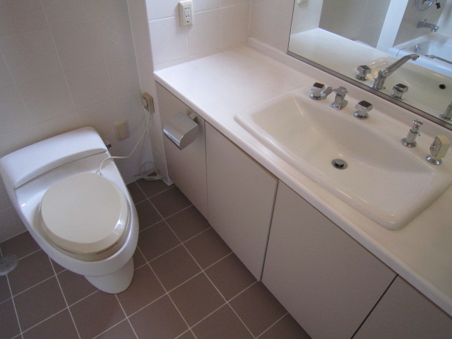 Toilet. Toilet with hand washing counter