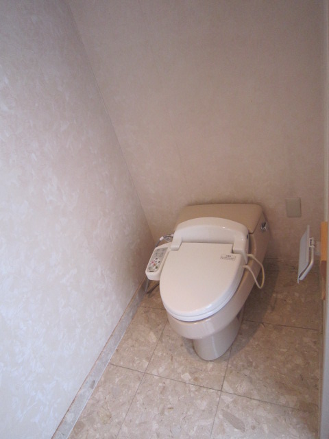 Toilet. Bidet function toilet