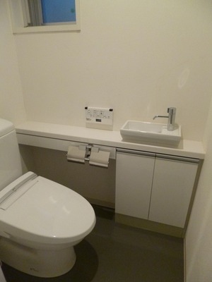 Toilet. Hot water wash with toilet