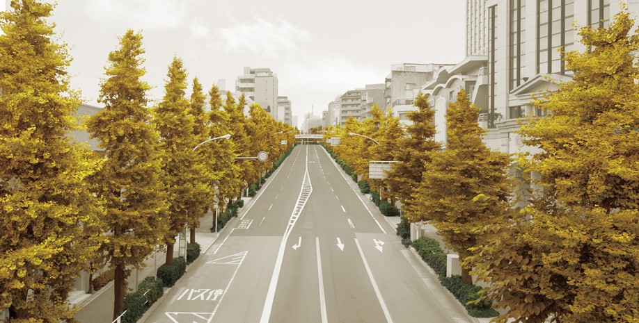 Komazawa streets and ginkgo tree-lined path before local leading to the Museum Street. Lush Avenue landscape Ya, Autumn can be enjoyed by luxury overlooking the stunning yellow leaves at hand (CG processing the peripheral photo taken with about 50m point than local in July 2013, In fact a slightly different)