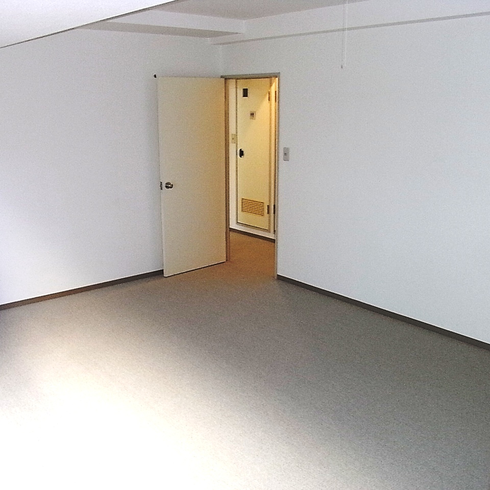 Other room space. Entrance from Western-style back