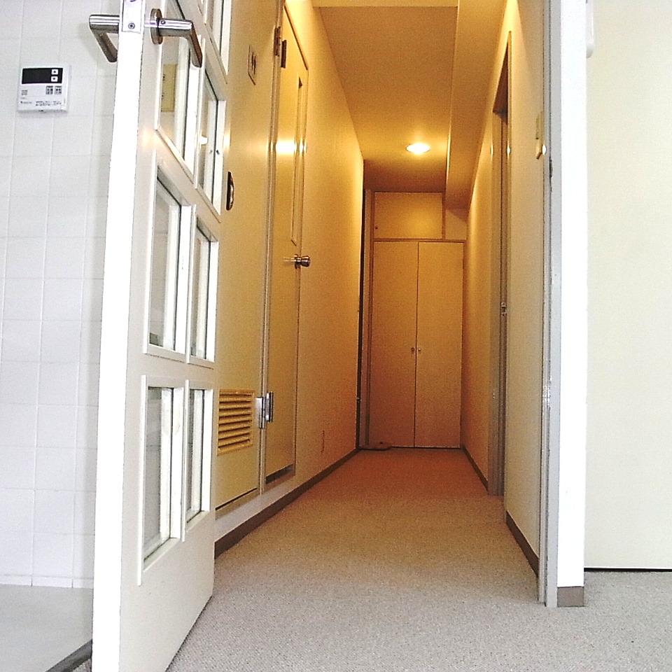 Entrance. Entrance from the living room door