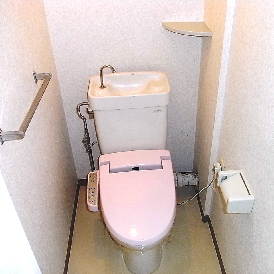 Toilet. Warm water washing toilet seat