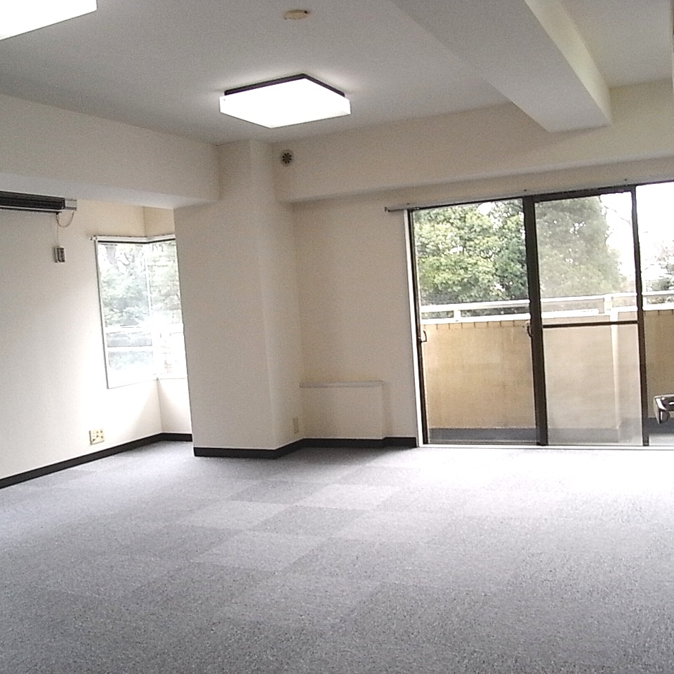 Living and room. Southeast angle