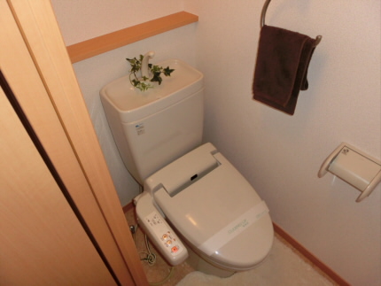 Toilet