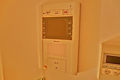Security. TV monitor phone
