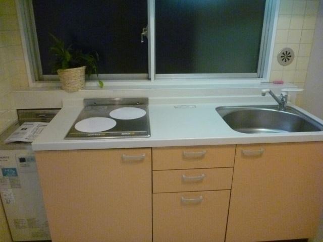 Kitchen. Green Capital Hiroo