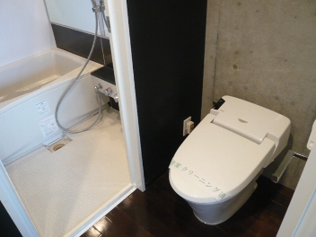 Bath. Reference photograph, Warm water washing toilet seat