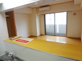 Living and room. The view from the counter