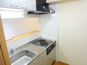 Kitchen. Two-burner gas system kitchen with stove grill