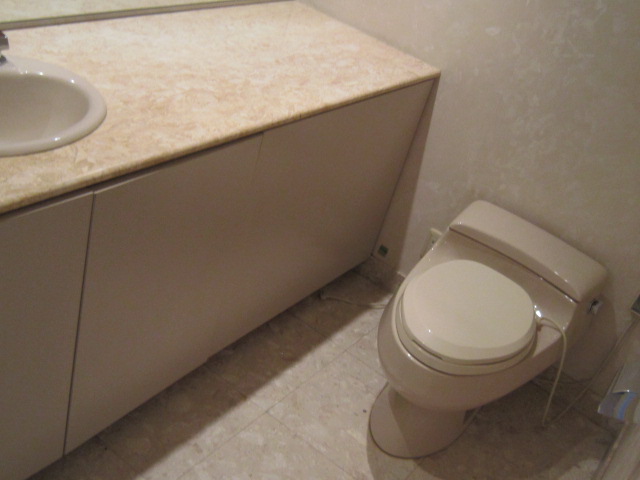 Toilet. Toilet with hand washing counter