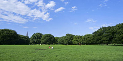 Other. Yoyogi Park within walking distance