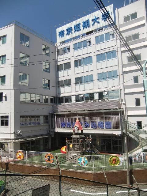 Other. Teikyo Junior College