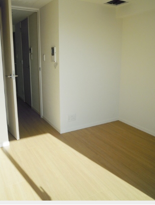 Living and room. Bright south-facing