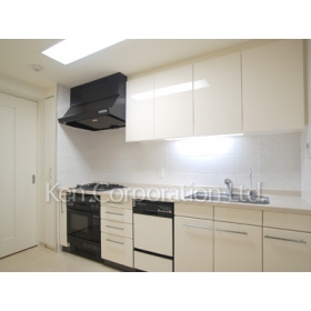 Kitchen. Shoot the same type the first floor of the room. Specifications may be different.