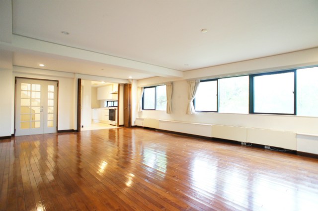 Living and room. Living