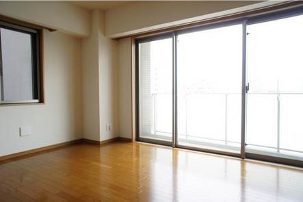 Living and room. Good day in the large windows