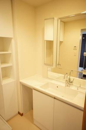 Washroom. Washbasin independent type