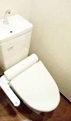 Toilet. Bidet Design