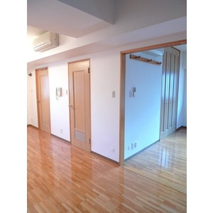 Living and room. LDK