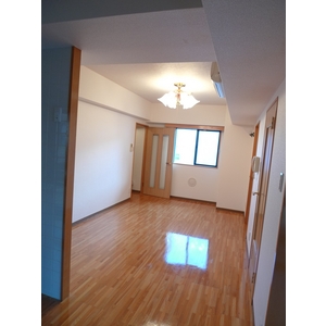 Living and room. LDK
