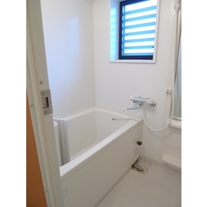 Bath. There bathroom window