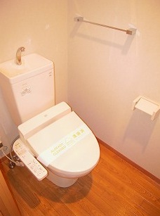 Toilet. Toilet