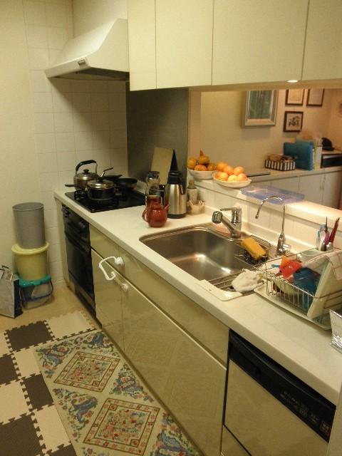 Kitchen. Indoor (11 May 2013) Shooting