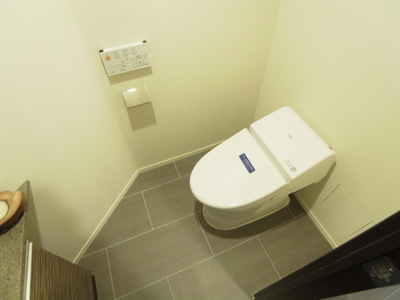 Toilet. Neat tankless toilet